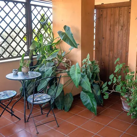 招待所 Stanze Con Bagno E Terrazza Privati, A 100mt